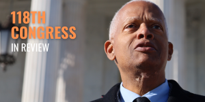 118th Congress in Review 